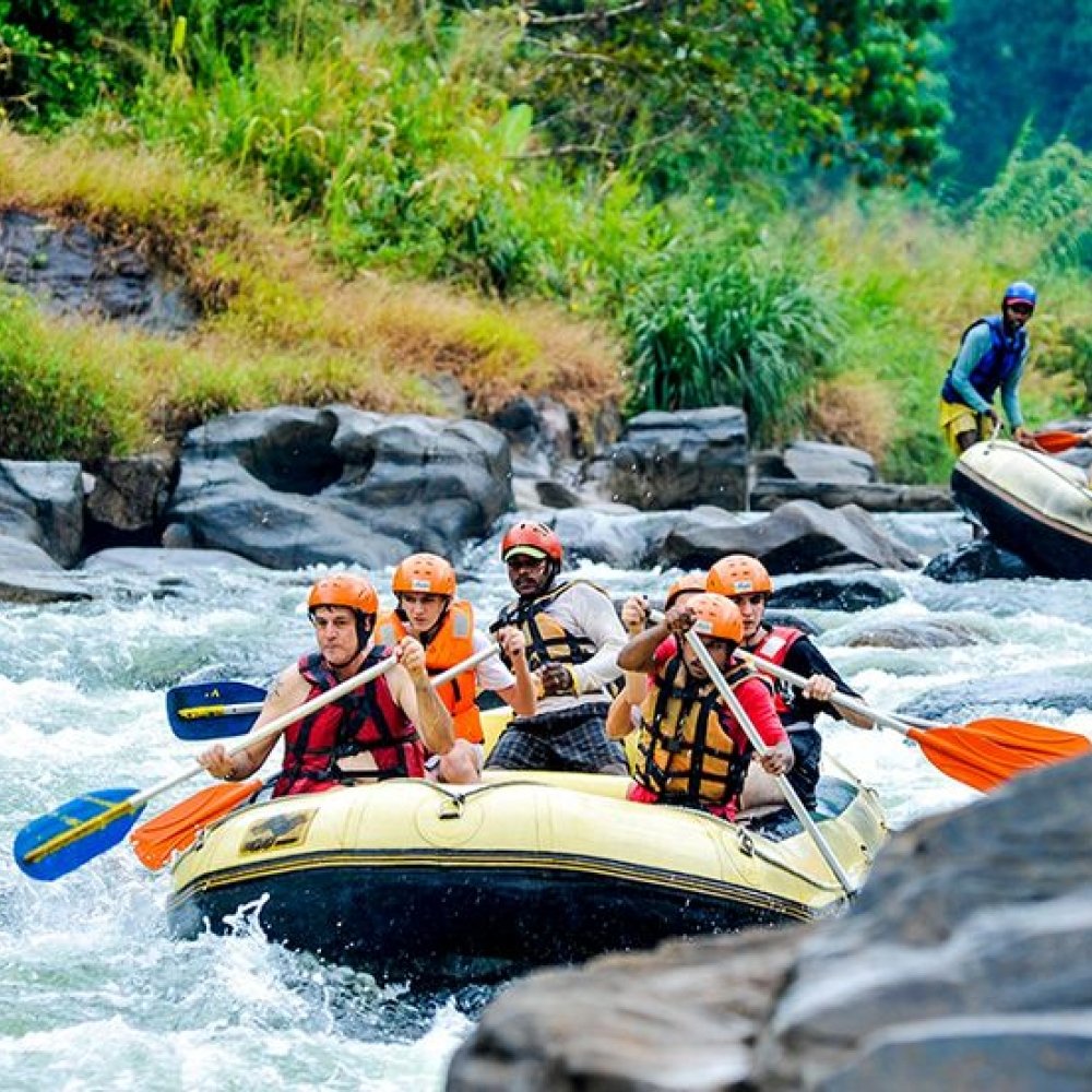 Happy Travelers